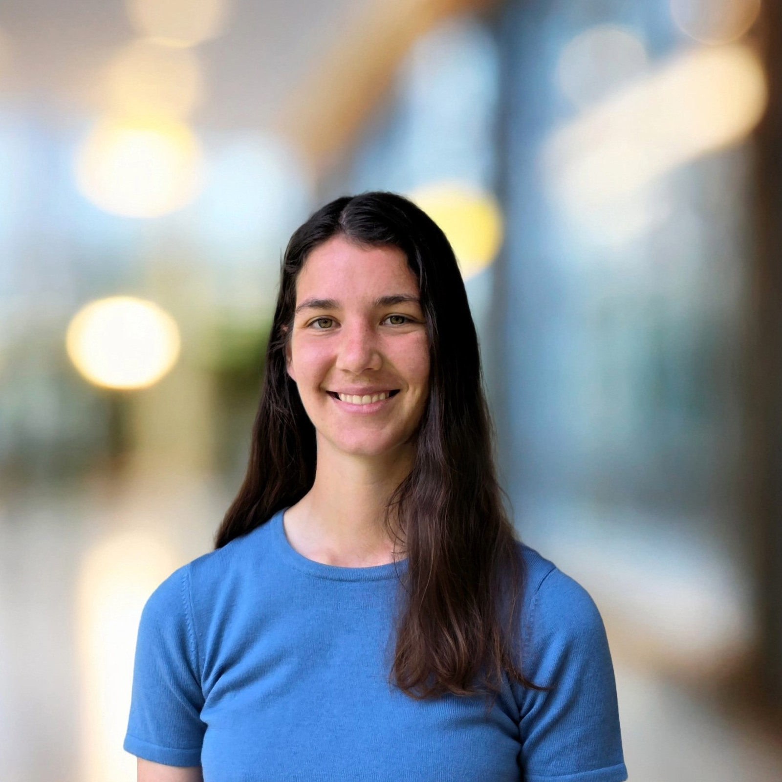article photo